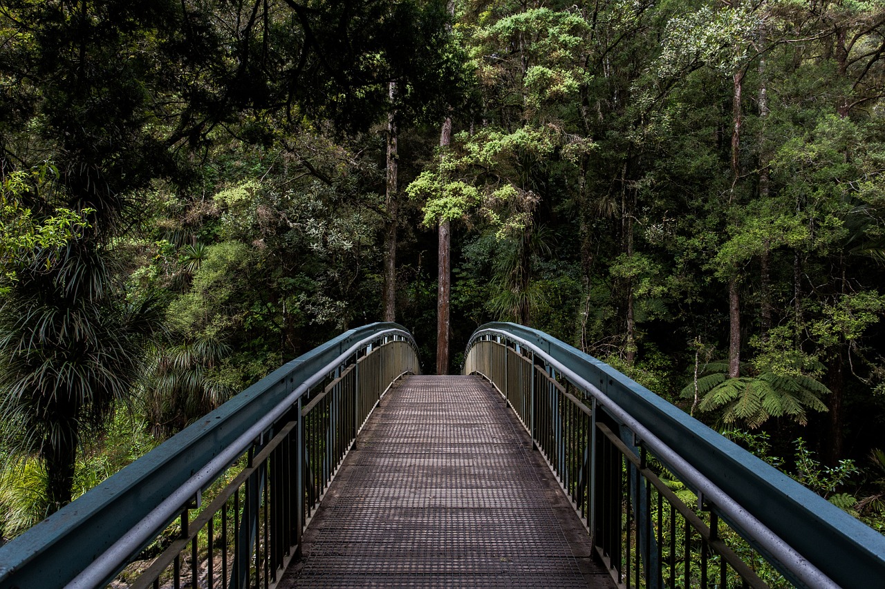 bridge, railings, forest-1082117.jpg